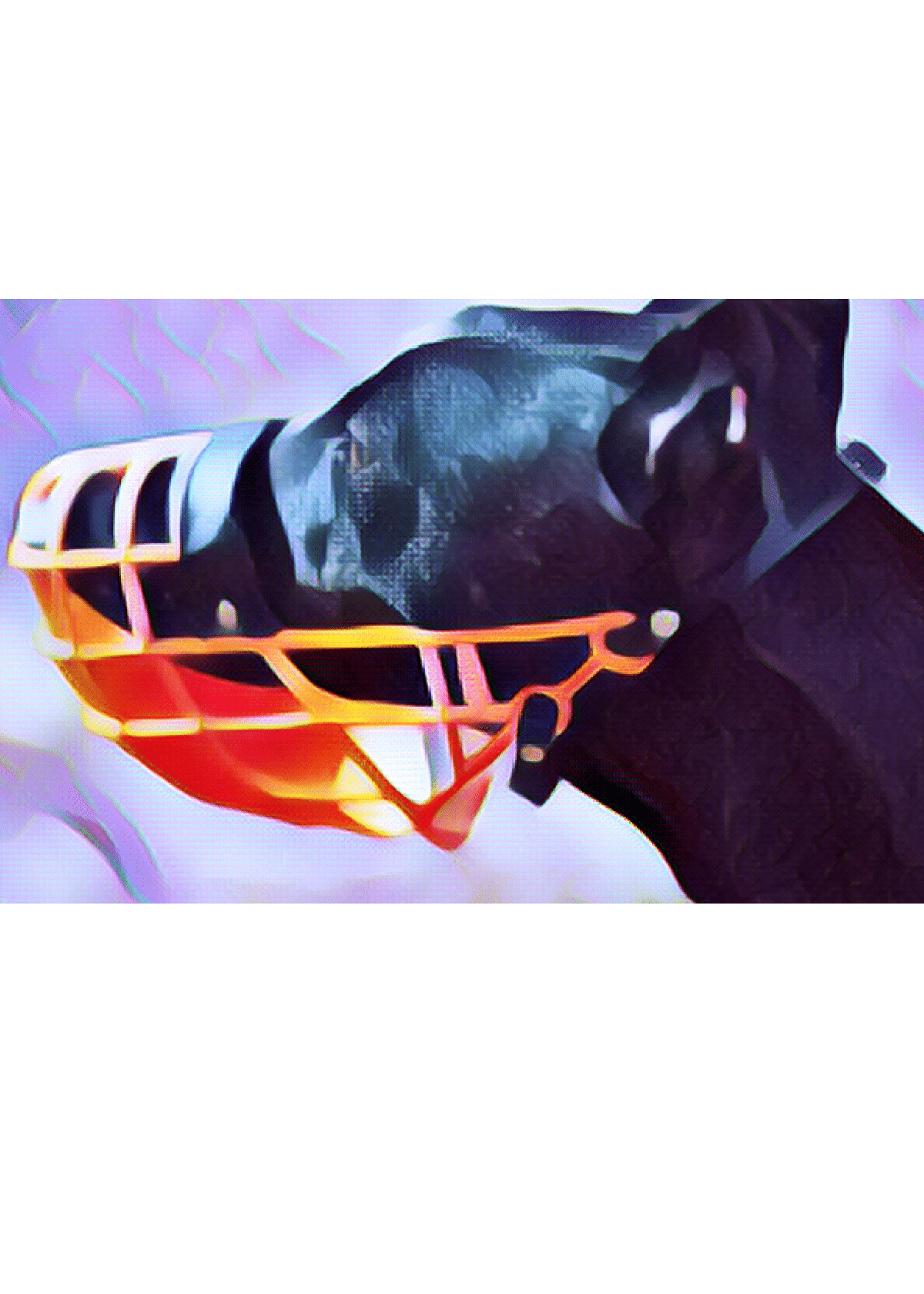 Best Dog Muzzle Loved by Dog Owners
