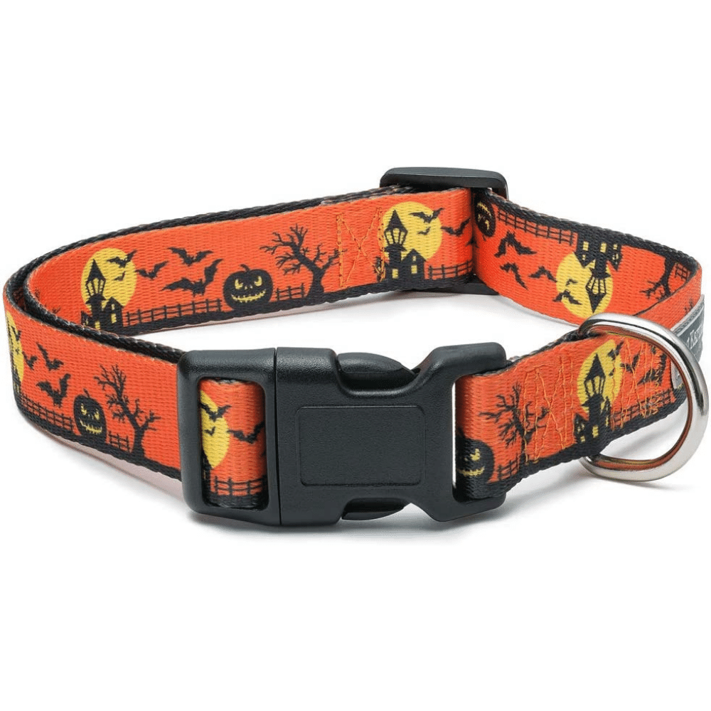 Halloween Dog Collars, you will Quiver in excitement for!