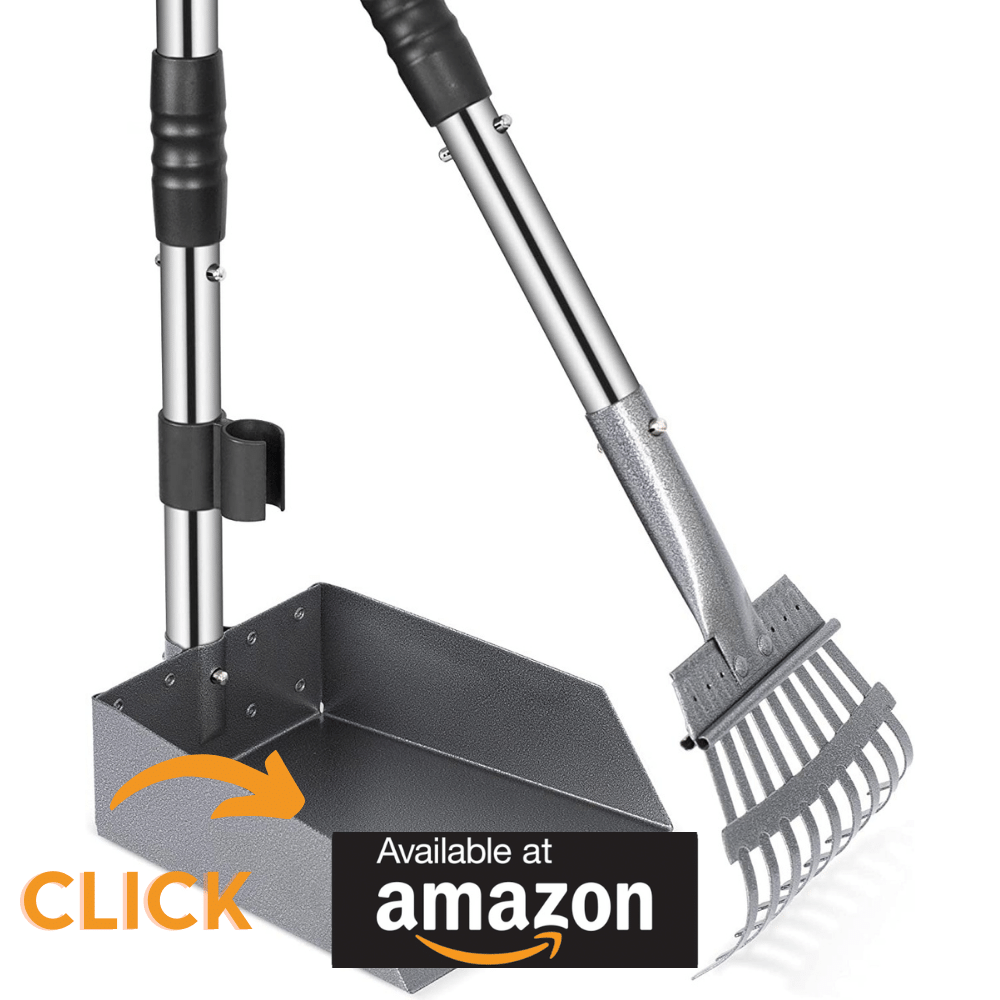 The Best Dog Pooper Scooper to keep poop off your Hands!