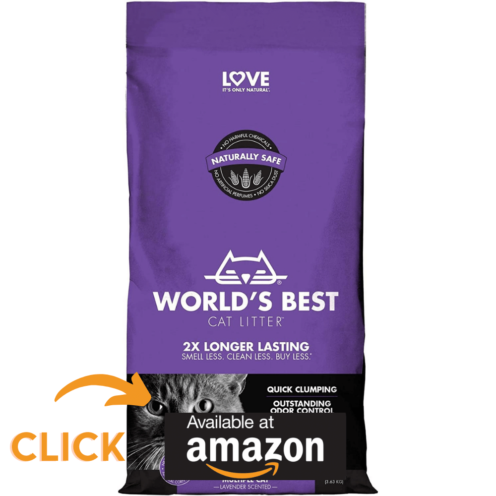 Best Cat Litter For Odor Control, To Keep The Smell Away!